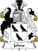 English Coat of Arms for the family Johns