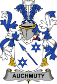 Irish Coat of Arms for Auchmuty