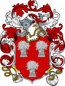 English or Welsh Coat of Arms for Comyn