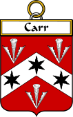 Irish Badge for Carr