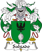 Spanish Coat of Arms for Salgado