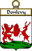 Irish Badge for Donlevy or O'Donlevy