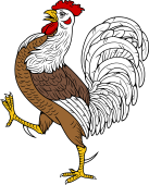 Rooster (Cock)