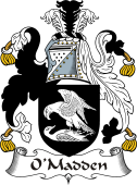 Irish Coat of Arms for O'Madden