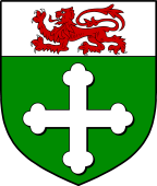 Scottish Family Shield for Crumbe or Crumbie