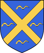 Irish Family Shield for Fleury or Furey