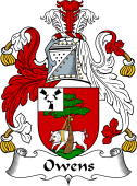 Irish Coat of Arms for Owens