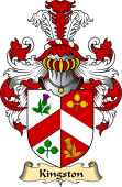 Irish Family Coat of Arms (v.23) for Kingston