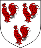Scottish Family Shield for Cockburn