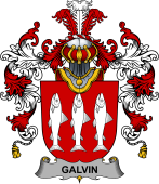 Irish Family Coat of Arms (v.25b) Galvin or O'Galvin