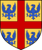 Irish Family Shield for Montmorency (Tipperary)