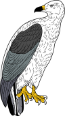 Birds of Prey Clipart image: Vulture Hawk