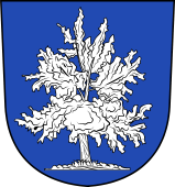 Swiss Coat of Arms for Verne de Luze