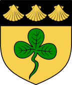 Irish Family Shield for O'Grehan or Greaghan