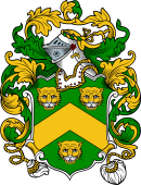 English or Welsh Coat of Arms for Fitch (Essex and Kent)