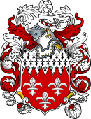 English or Welsh Coat of Arms for Ireland