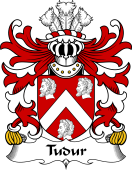 Welsh Coat of Arms for Tudur (AB EDNYFED FYCHAN)