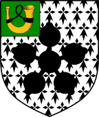 English Family Shield for Dover