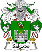 Portuguese Coat of Arms for Salgado
