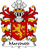 Welsh Coat of Arms for Maredudd (or Meredith, AP BLEDDYN AP CYNFYN)
