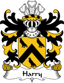 Welsh Coat of Arms for Harry (AP THOMAS)