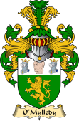 Irish Family Coat of Arms (v.23) for O'Mulledy or O'Neady