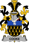 Irish Coat of Arms for Cooke