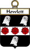 Irish Badge for Howlet or Hewlett