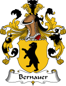 German Wappen Coat of Arms for Bernauer