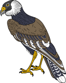 Birds of Prey Clipart image: Brazilian Caracara Eagle