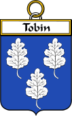 Irish Badge for Tobin