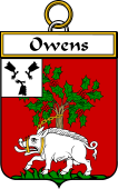 Irish Badge for Owens