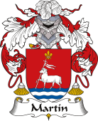 Spanish Coat of Arms for Martín