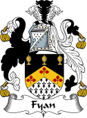 Irish Coat of Arms for Fyan