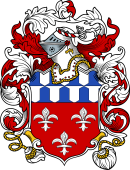 English or Welsh Coat of Arms for Palmes (Hants, and Yorkshire)