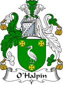Irish Coat of Arms for O'Halpin II