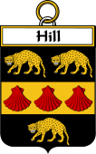 Irish Badge for Hill