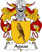Spanish Coat of Arms for Aguas