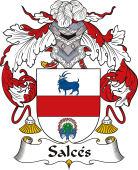 Spanish Coat of Arms for Salcés