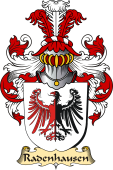 v.23 Coat of Family Arms from Germany for Radenhausen