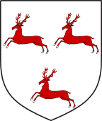 Scottish Family Shield for Rae