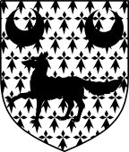 Irish Family Shield for O'Duane, O'Devine or O'Duana