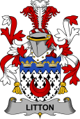 Irish Coat of Arms for Litton