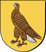 Spanish Family Shield for Aguas