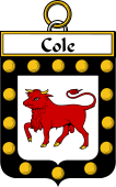 Irish Badge for Cole