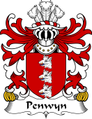 Welsh Coat of Arms for Penwyn (Iorwerth ap Cynwrig ab Iorwerth)
