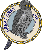 Birds of Prey Clipart image: Grey Grey or CINEREOUS Owl-M