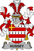 Irish Coat of Arms for Hussey or O'Hosey