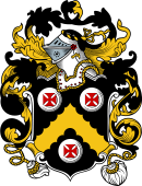 English or Welsh Coat of Arms for Bury (Burye 1566)