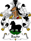 German Wappen Coat of Arms for Baehr